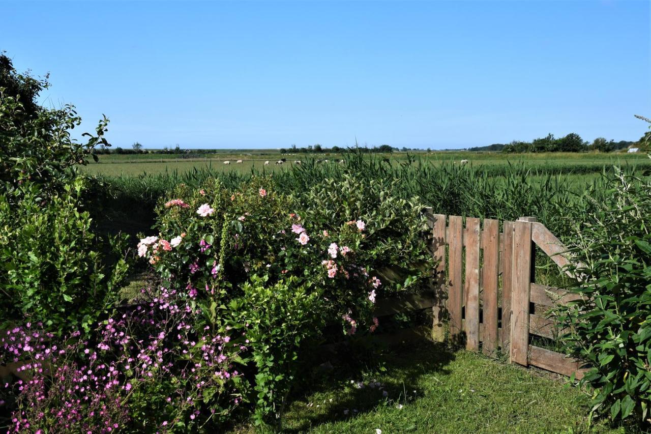 Wadden Eiland Bed En Breakfast Op Texel Oudeschild Exterior foto